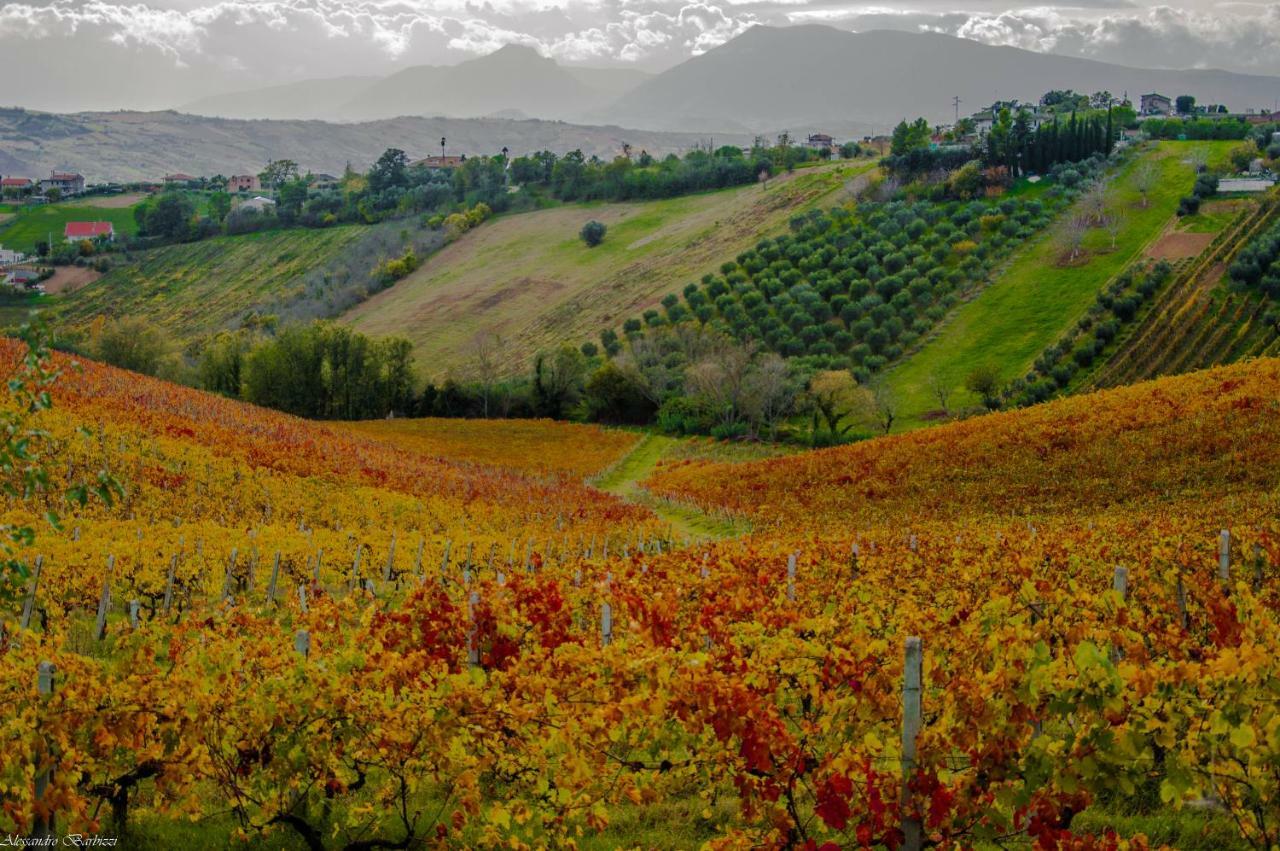 Gli Orti Di San Giacomo Bed & Breakfast Monteprandone Dış mekan fotoğraf